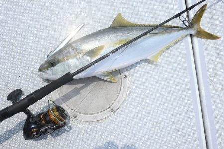 エル・クルーズ 釣果