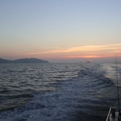 エル・クルーズ 釣果