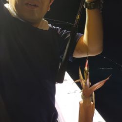 海龍丸（石川） 釣果