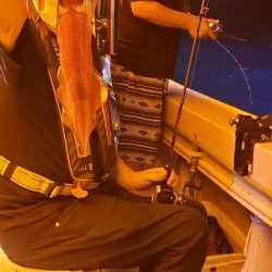 海龍丸（石川） 釣果