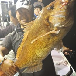 海龍丸(石川) 釣果