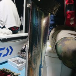 シースナイパー海龍 釣果