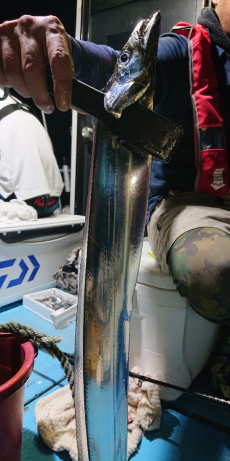 シースナイパー海龍 釣果