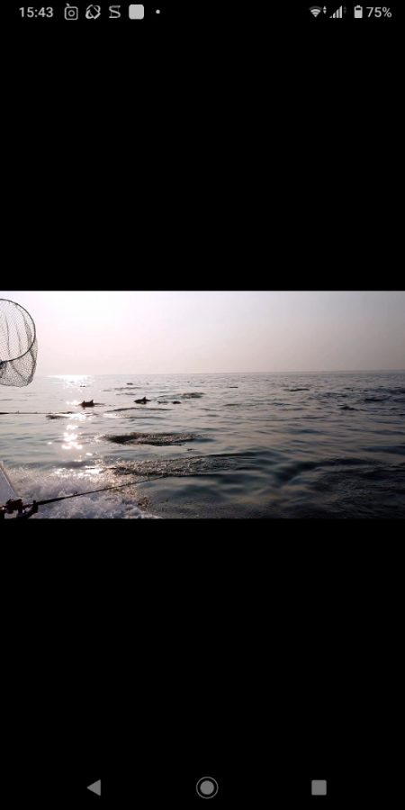 エンペラー 釣果