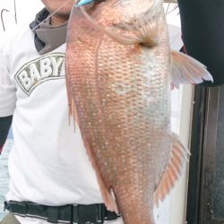 シースナイパー海龍 釣果