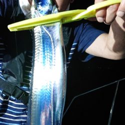 シースナイパー海龍 釣果