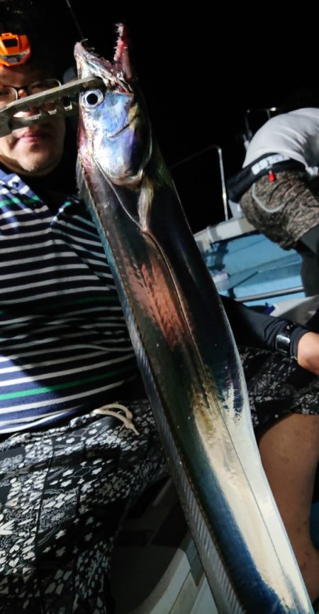 シースナイパー海龍 釣果