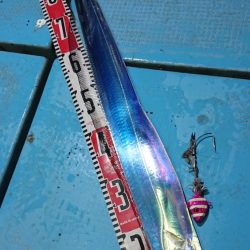 シースナイパー海龍 釣果