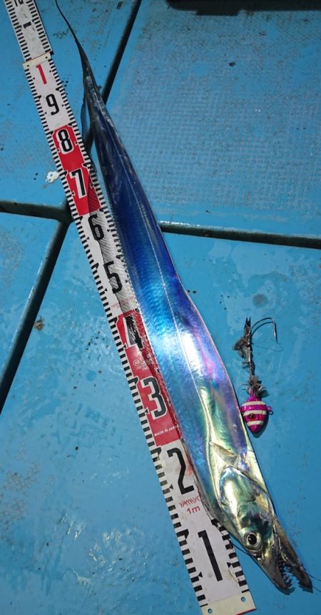 シースナイパー海龍 釣果