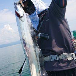 シースナイパー海龍 釣果