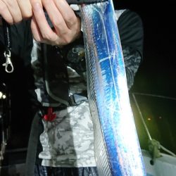 シースナイパー海龍 釣果