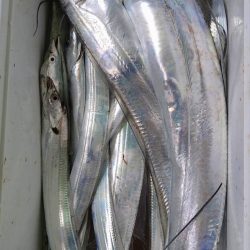 小島丸 釣果