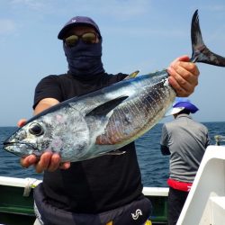 Big One ビッグワン 釣果