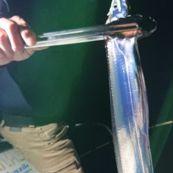 シースナイパー海龍 釣果