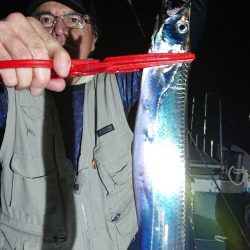 シースナイパー海龍 釣果