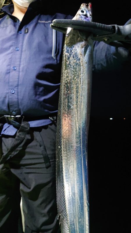 シースナイパー海龍 釣果