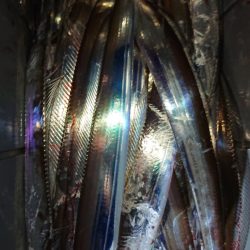 シースナイパー海龍 釣果