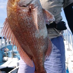 シースナイパー海龍 釣果