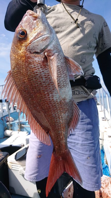 シースナイパー海龍 釣果