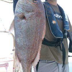 シースナイパー海龍 釣果