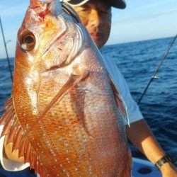 新幸丸 釣果