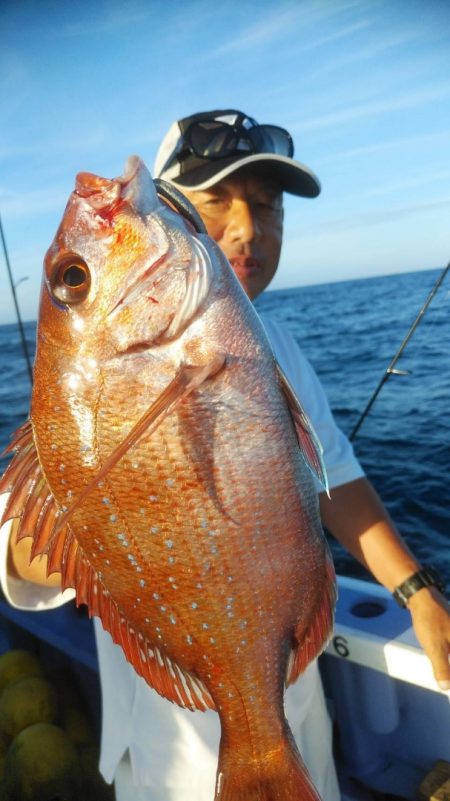新幸丸 釣果