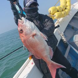 だて丸 釣果