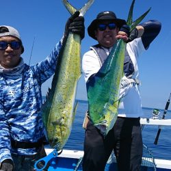 第三共栄丸 釣果