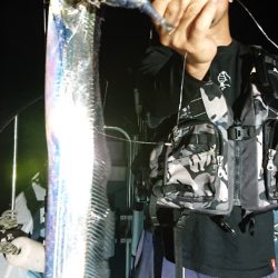 シースナイパー海龍 釣果