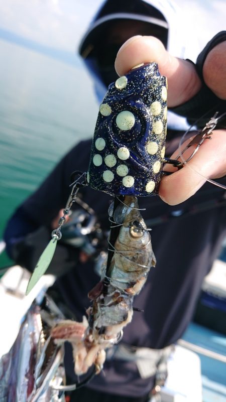 シースナイパー海龍 釣果