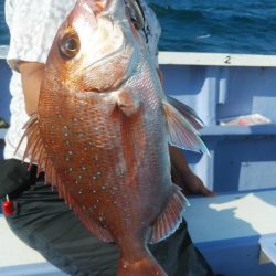 新幸丸 釣果
