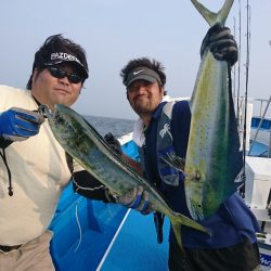 第三共栄丸 釣果