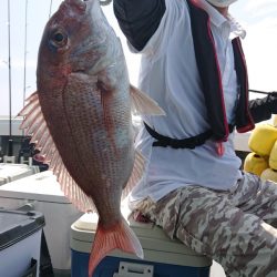 だて丸 釣果