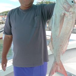 第二ゆず丸 釣果