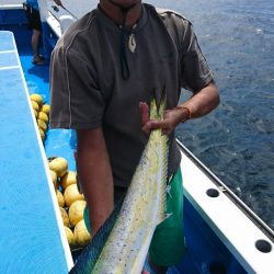 第三共栄丸 釣果