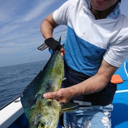 第三共栄丸 釣果