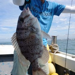 だて丸 釣果