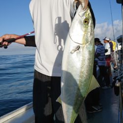 だて丸 釣果