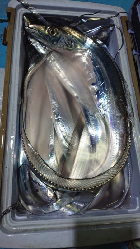 シースナイパー海龍 釣果