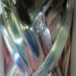 シースナイパー海龍 釣果