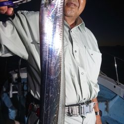シースナイパー海龍 釣果