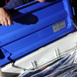 シースナイパー海龍 釣果