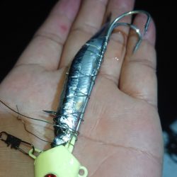 シースナイパー海龍 釣果