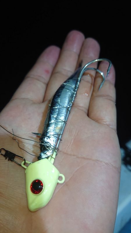 シースナイパー海龍 釣果