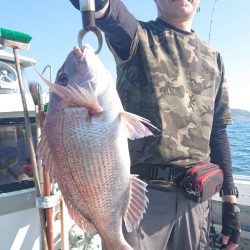 だて丸 釣果