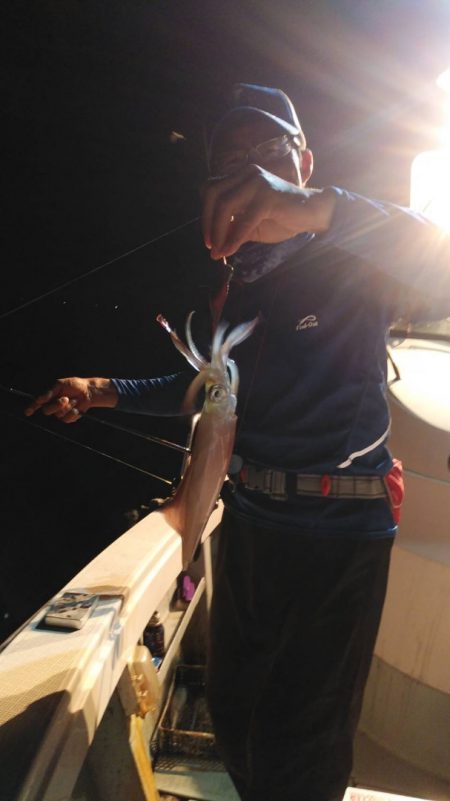 アマテラス 釣果