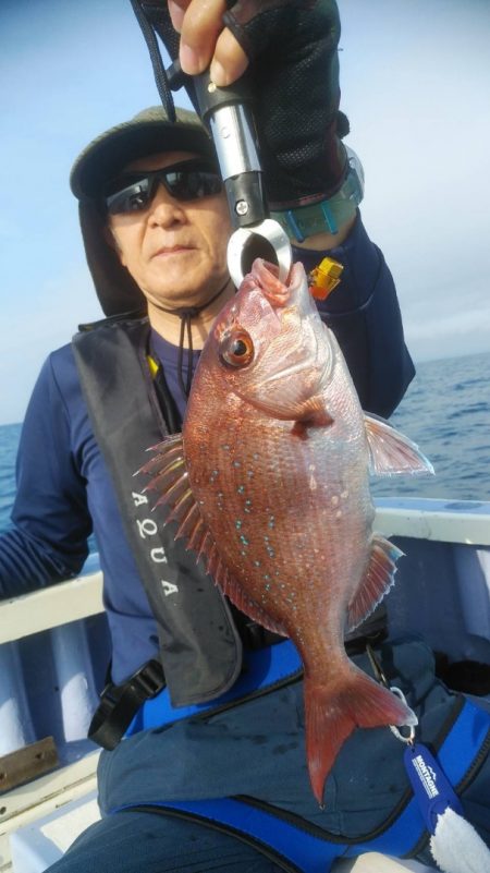 新幸丸 釣果