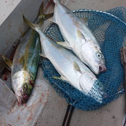 海皇丸 釣果