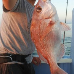 新幸丸 釣果