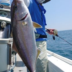 だて丸 釣果